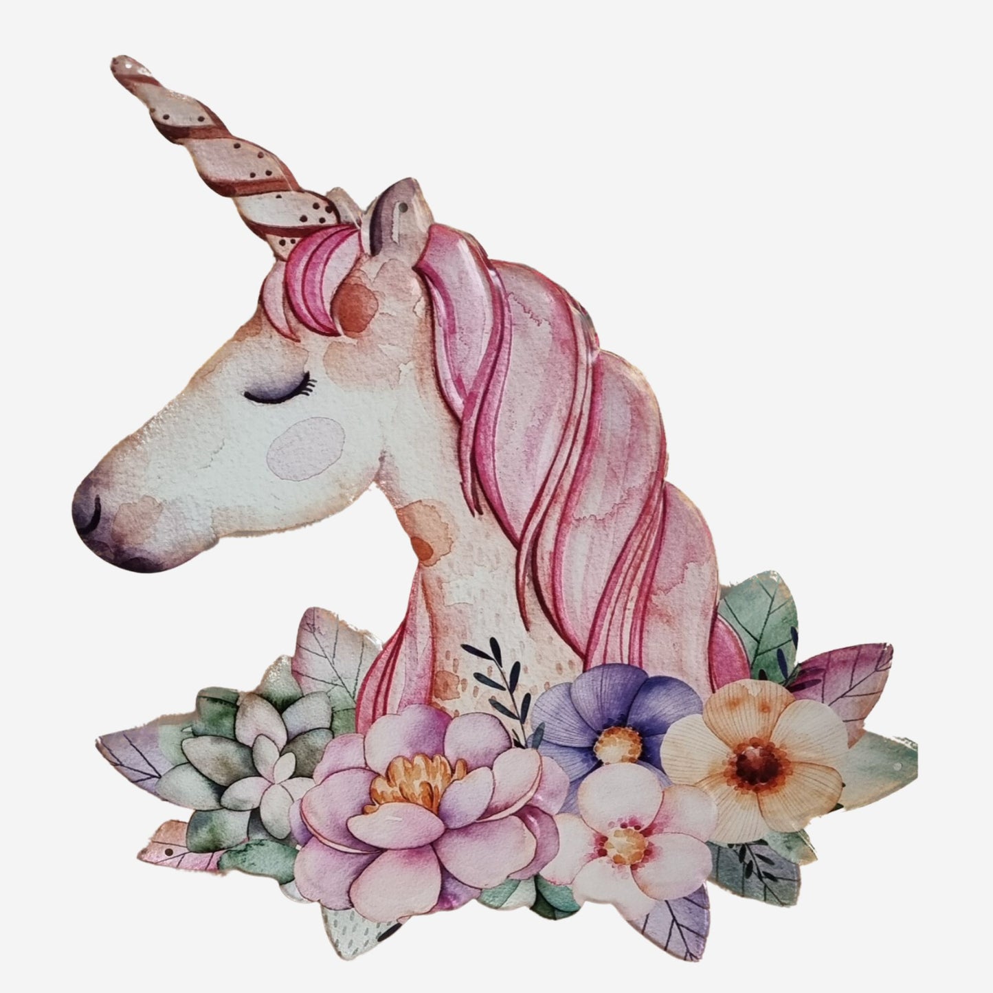 Blechschild Einhorn 63x49cm